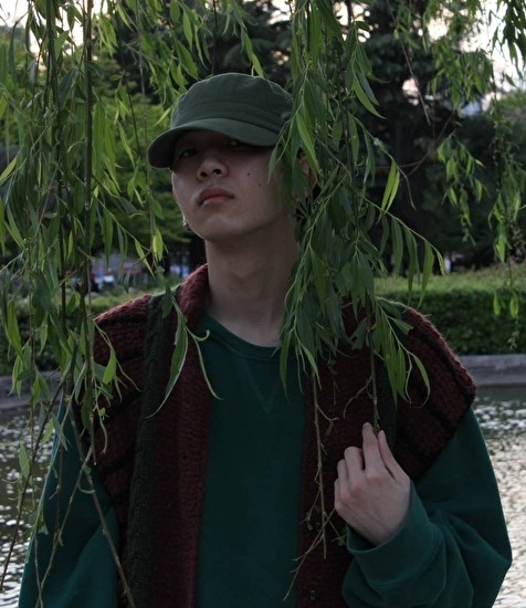 Hide